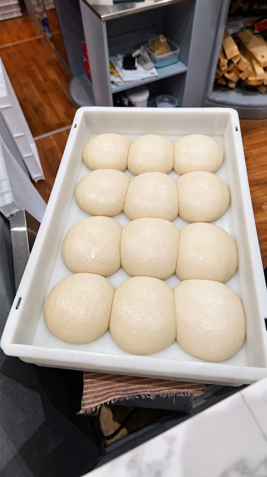 Die Pizzateiglinge.